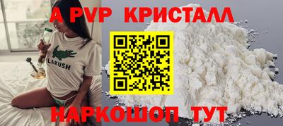 шишки Будённовск