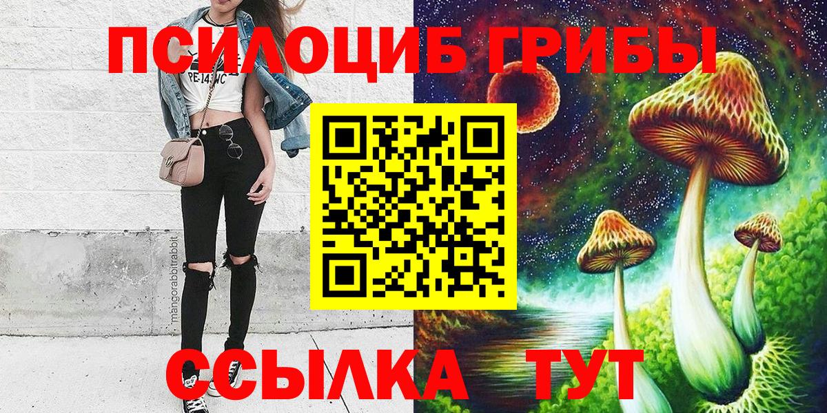 Тимашёвск  Псилоцибиновые грибы мухоморы  Вход с VPN 